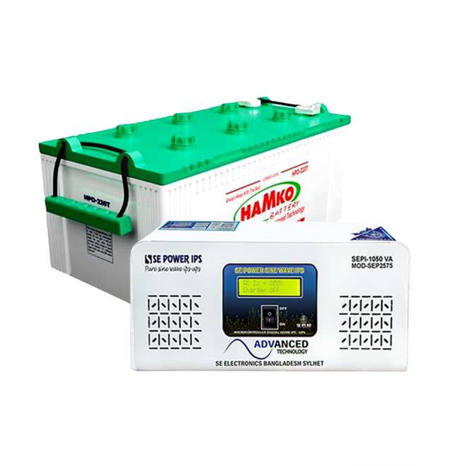 1250va 24v Sinewave IPS + 2 Pieces 100Ah Battery